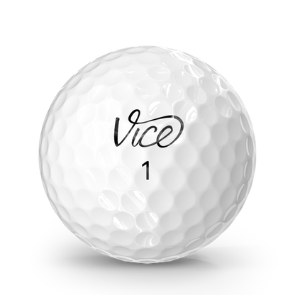 Vice Tour 5