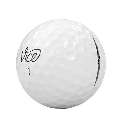Vice Tour 6